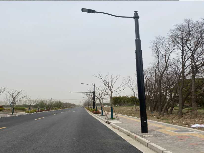 略阳县上海综合杆 太阳能路灯工程